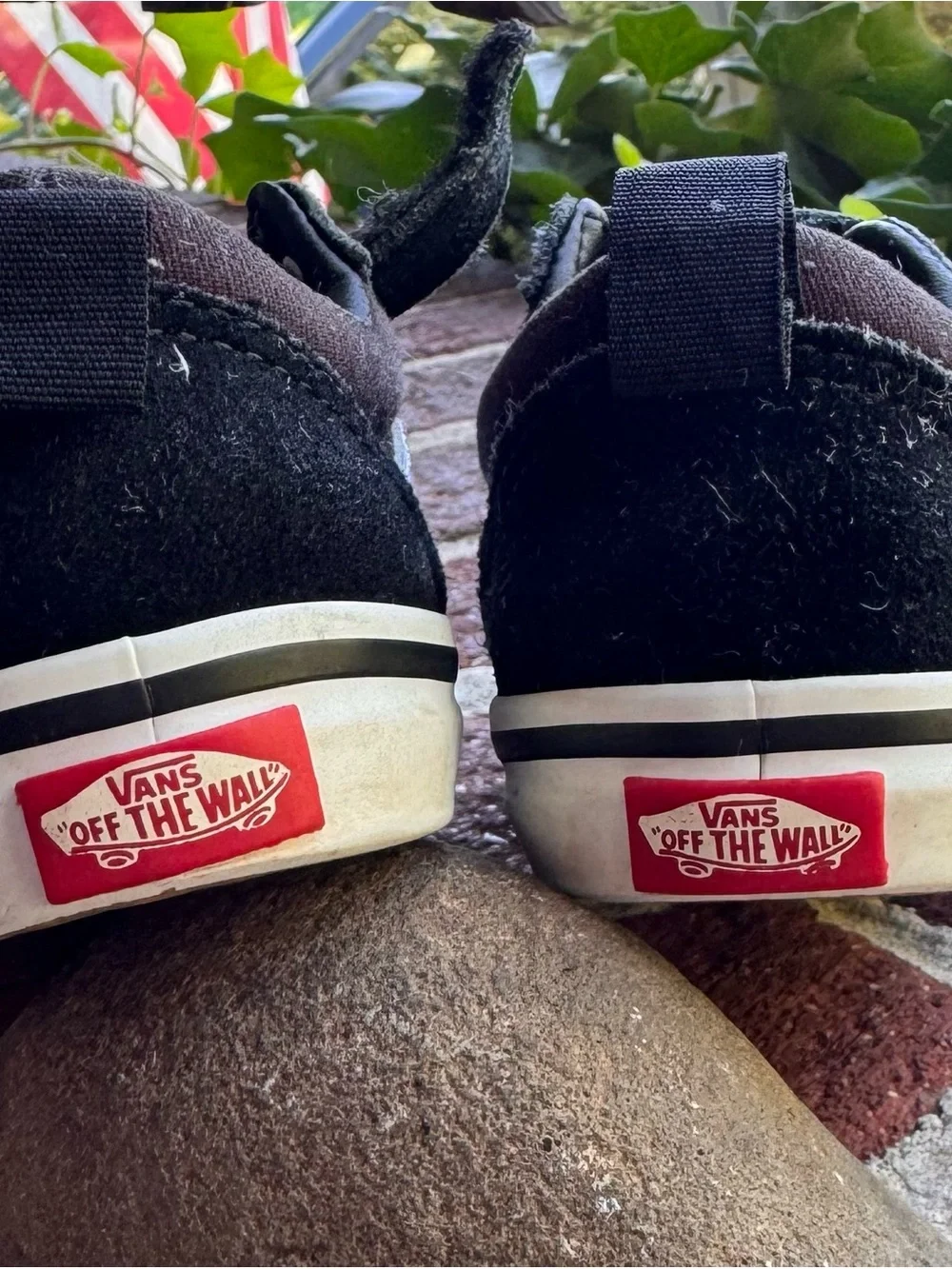 Vans kids velcro